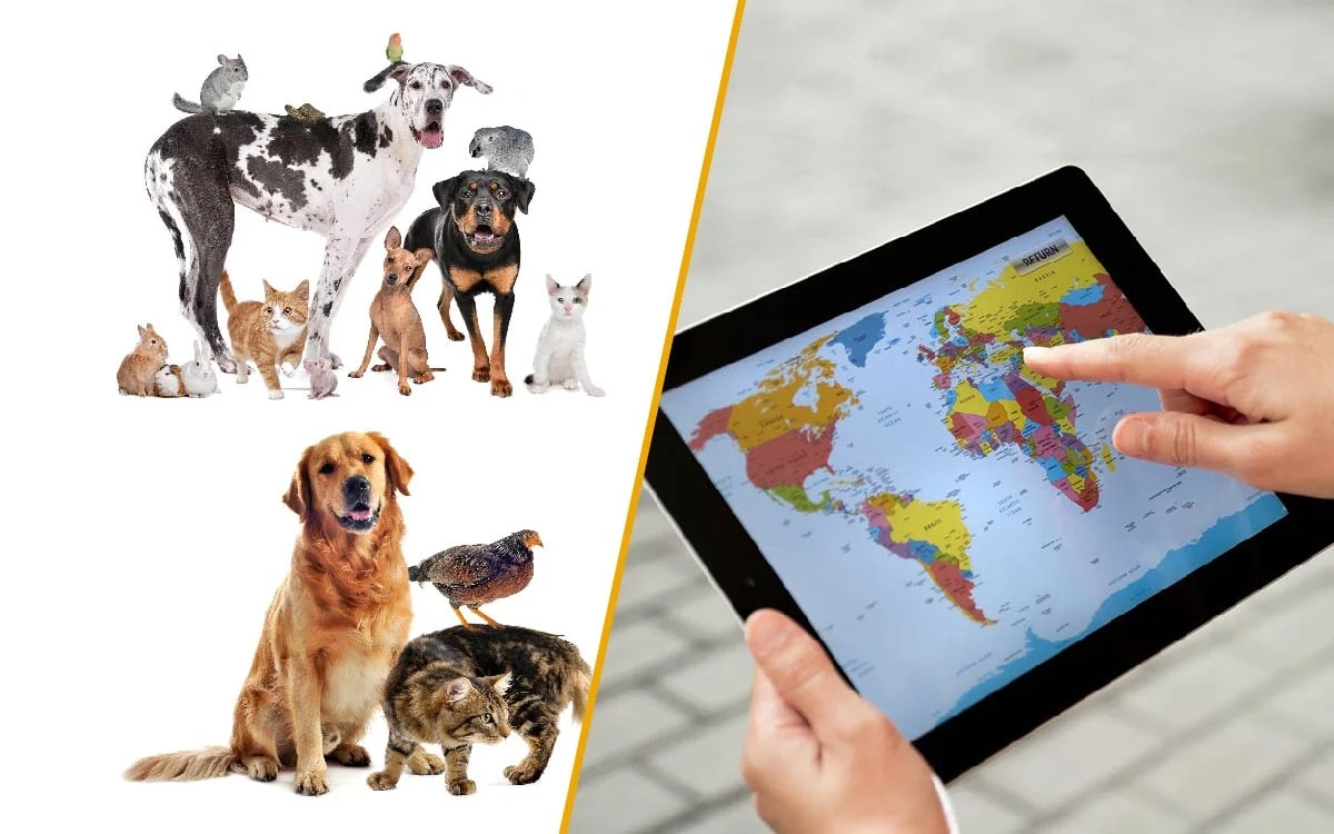 Transporte de Animais Vivos